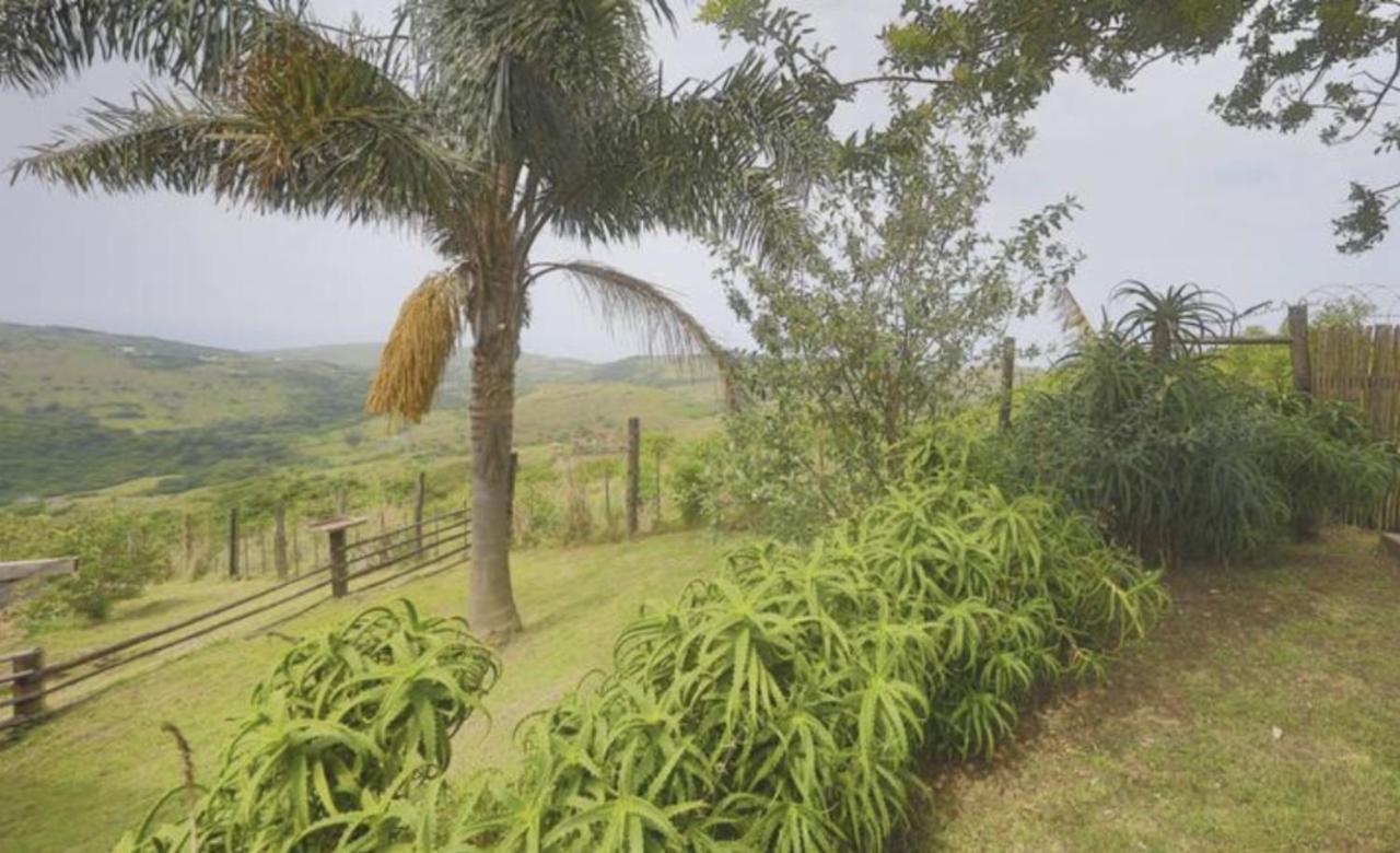 Raptors View Coffee Bay Exterior photo